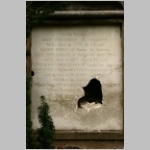 R~DSCN2486rs.jpg