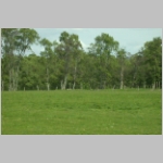 R~DSCN2543.JPG