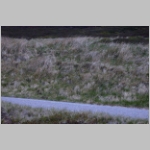 R~DSCN2589.JPG