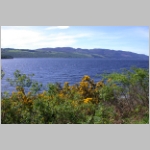 R~DSCN2637.JPG