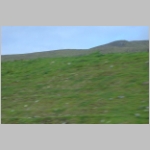 R~DSCN2787.JPG