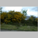 R~DSCN2815.JPG